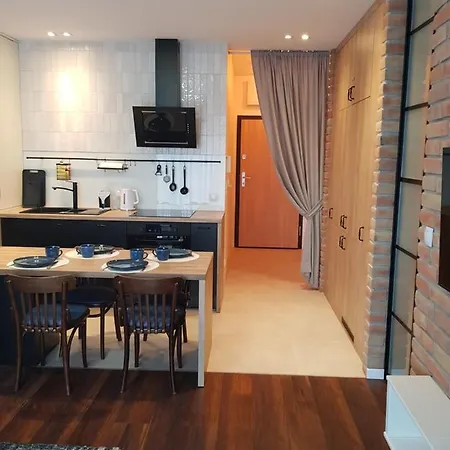 Niezapominajka Przy Manufakturze Apartment Lodz (Lodz)