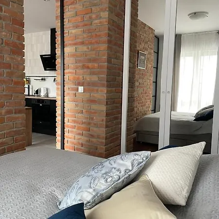 Niezapominajka Przy Manufakturze Апартаменты *