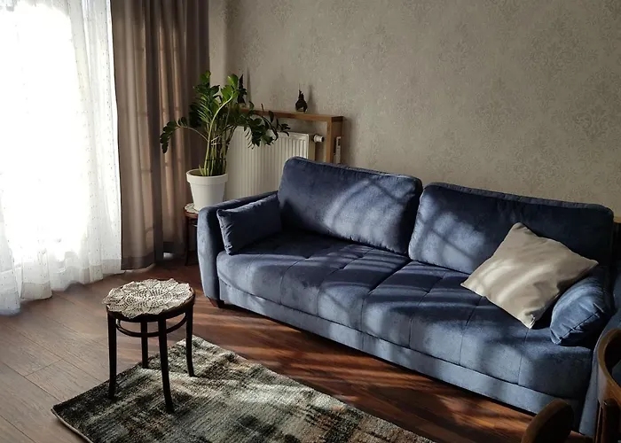 Niezapominajka Przy Manufakturze Łódź