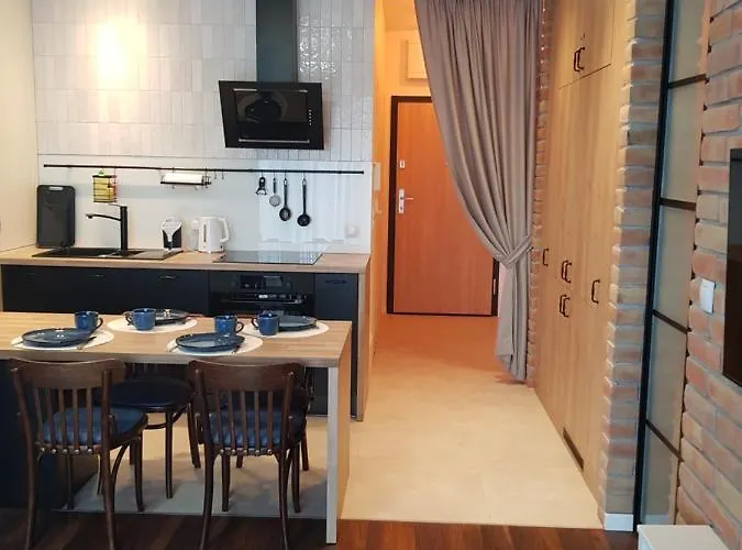 Niezapominajka Przy Manufakturze Apartment Łódź