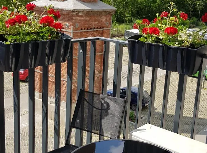 Niezapominajka Przy Manufakturze *